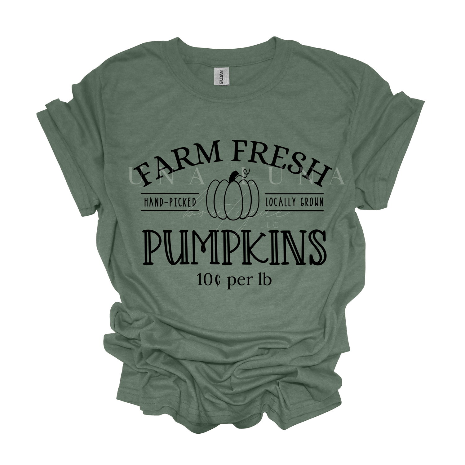 Fall/Thanksgiving