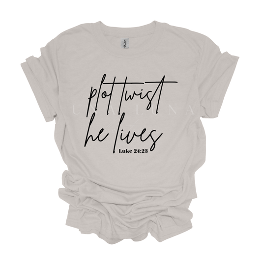 Plot Twist Script (Black)