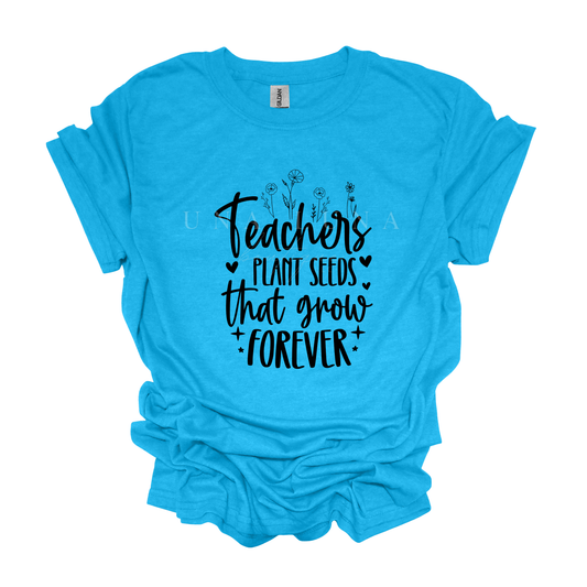 Teachers Plant Seeds